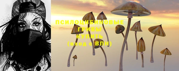 метадон Верея