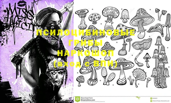 метадон Верея